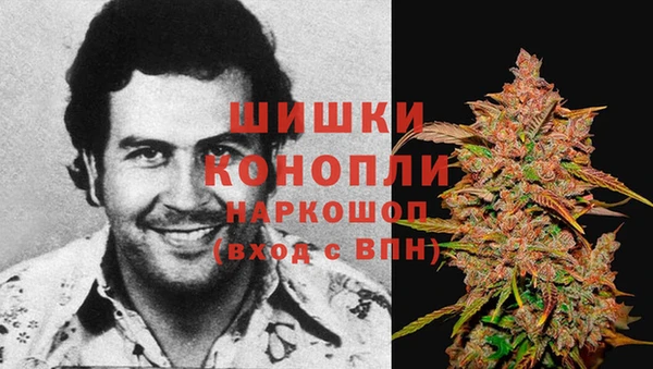 шишки Балабаново